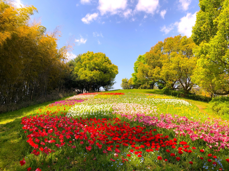 馬見丘陵公園